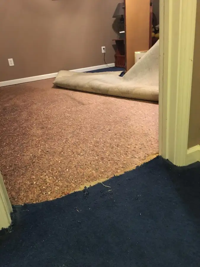 Carpet pad removal revealing water damage during Water Mitigation Services in Lynchburg