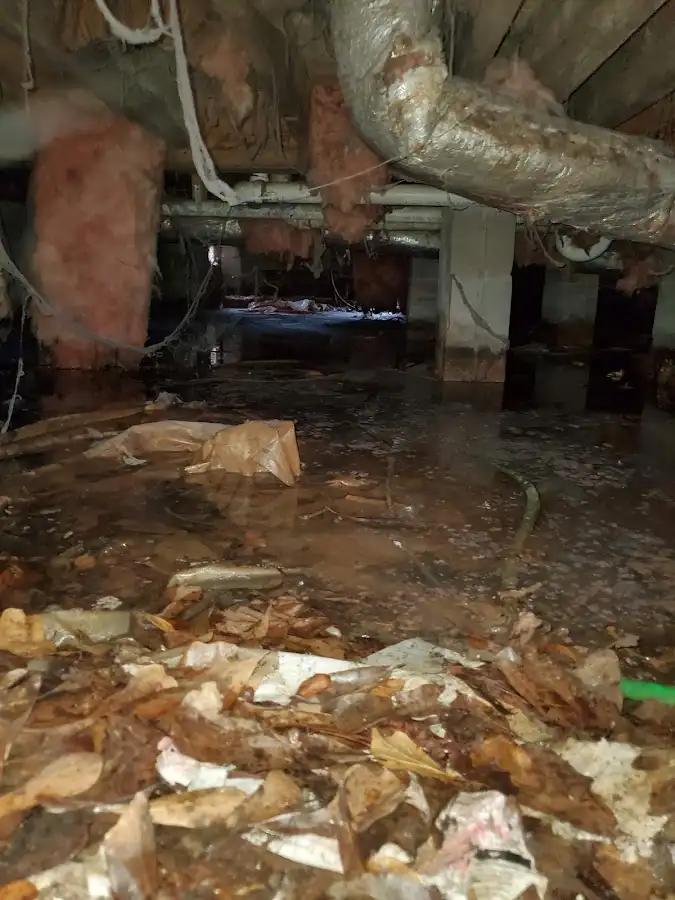Crawl space flood assessment for Leak Detection & Repair in Lynchburg