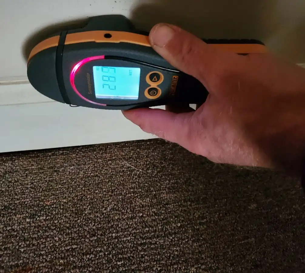 Moisture detection at baseboard during Sewage Cleanup & Sanitation in Lynchburg